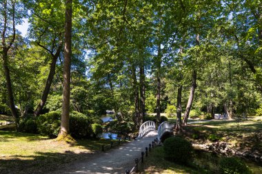 Tahtadan yapılmış, beyaza boyanmış bir şehir parkında romantik bir köprü. Güneşli bir yaz gününde, doğal ışıkta park et..