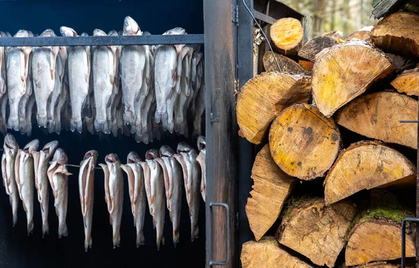 Ecological smoking of trout in a home wood-fired smokehouse. Healthy, unprocessed food produced independently.