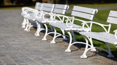 Şehir parkında beyaz ahşap banklar. Gün ışığında boş bankların romantik bir fotoğrafı.
