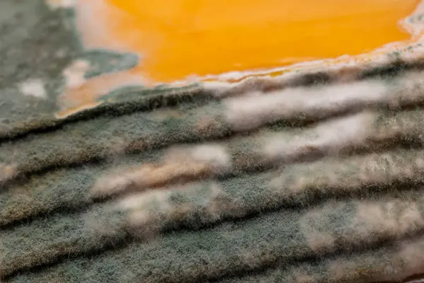 Bambu kesme tahtasına yerleştirilmiş küflü sarı peynir dilimleri. Yemekte yeşil küf sporları. Süresi dolmuş yiyecekler 