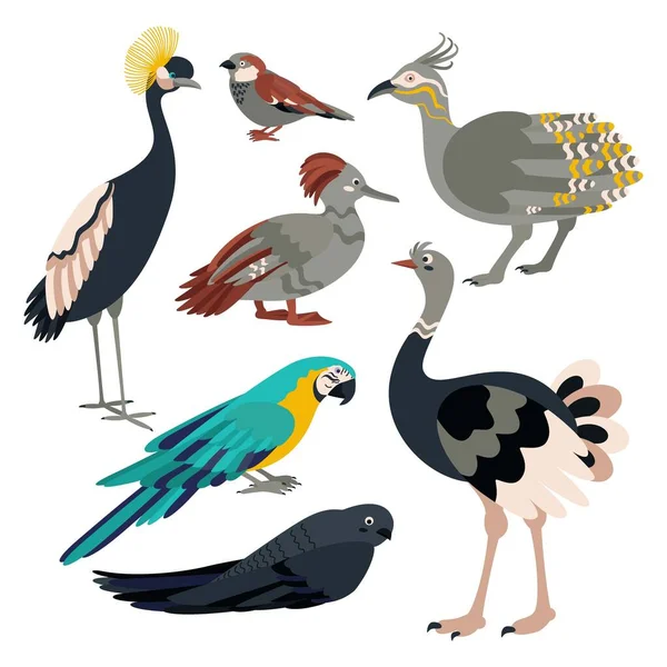 Ensemble Oiseaux Grue Moineau Tinamou Canard Perroquet Rapide Autruche Illustration — Image vectorielle