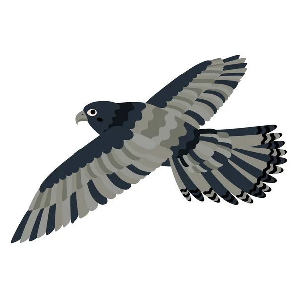 Netter Trickreicher Falkenvogel Flache Vektordarstellung Isoliert Auf Weißem Hintergrund — Stockvektor
