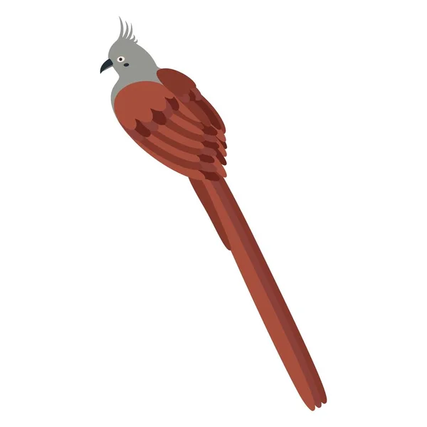 Słodkie Kreskówkowe Colliiformes Ptak Colliidae Mysi Ptak Płaska Ilustracja Wektor — Wektor stockowy