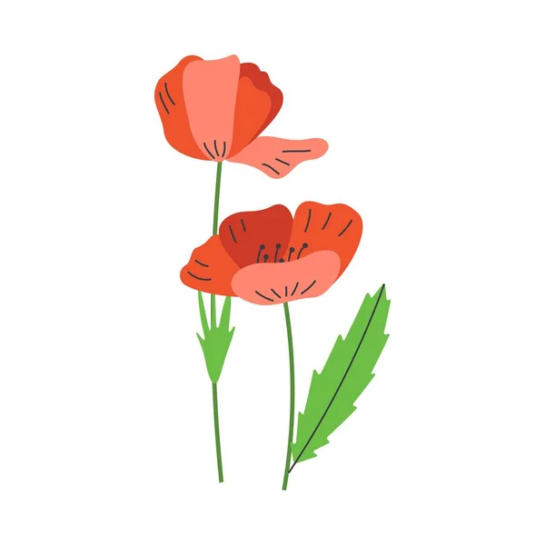Poppy Bloemen Oekraïense Symbolen Vlakke Vector Illustratie Geïsoleerd Witte Achtergrond — Stockvector