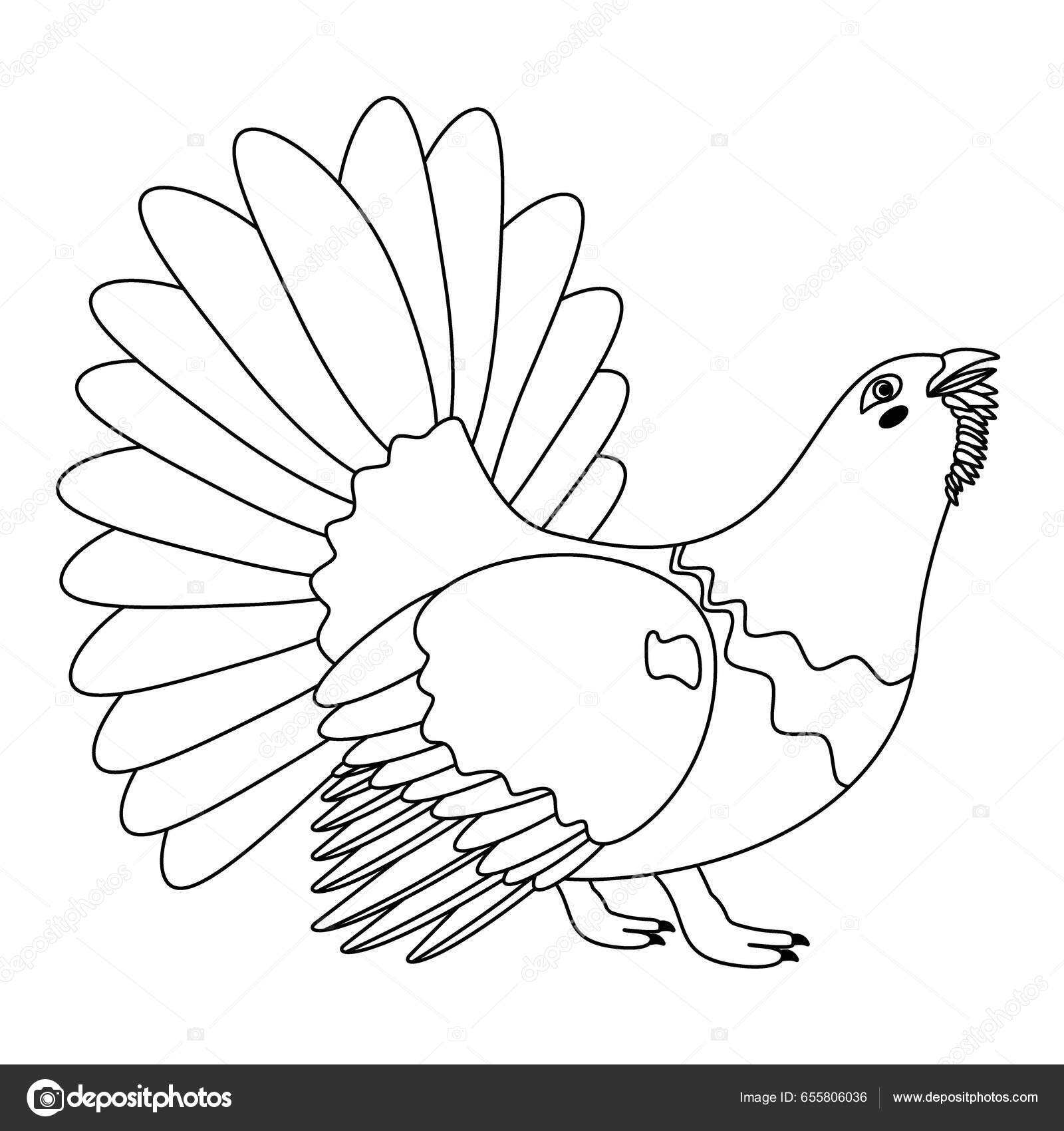 Turkey drawing hand made sketch 5282157 Vector Art at Vecteezy