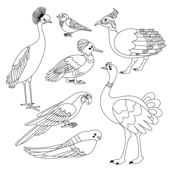 Zestaw Ptaków Żuraw Wróbel Tinamou Kaczka Papuga Szybki Struś Sztuka — Wektor stockowy