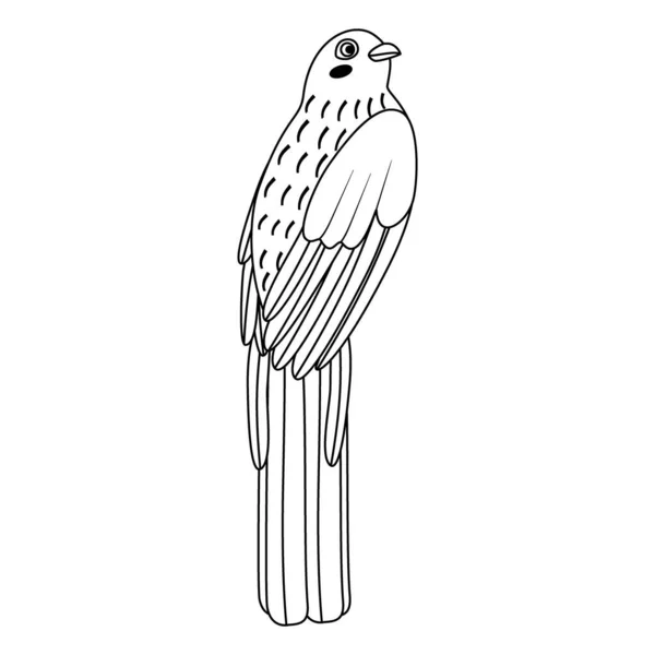 Lindo Pájaro Trogón Dibujos Animados Arte Línea Ilustración Vectorial Aislada — Vector de stock
