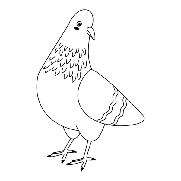 Niedlicher Cartoon Taubenvogel Linienkunst Vektor Illustration Isoliert Auf Weißem Hintergrund — Stockvektor