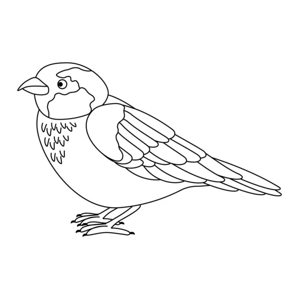 Niedlich Cartoon Sperling Vogel Linienkunst Vektor Illustration Isoliert Auf Weißem — Stockvektor