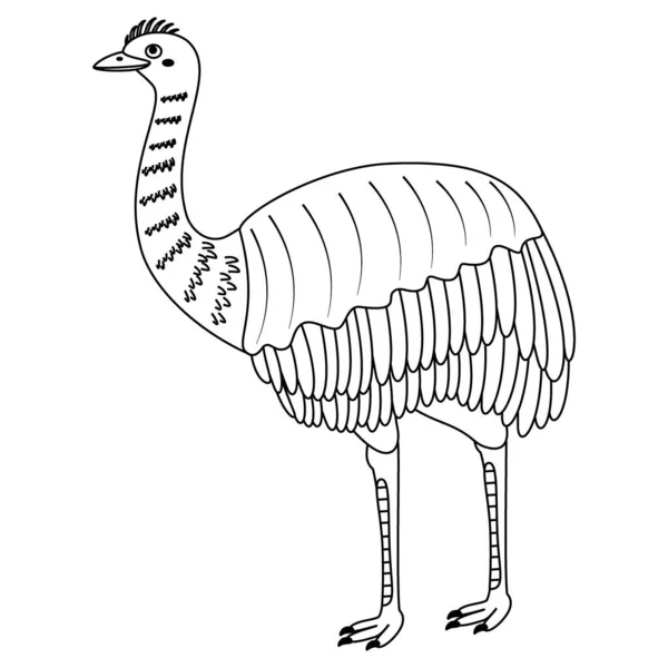 Mignon Dessin Animé Rhea Oiseau Art Linéaire Illustration Vectorielle Isolée — Image vectorielle