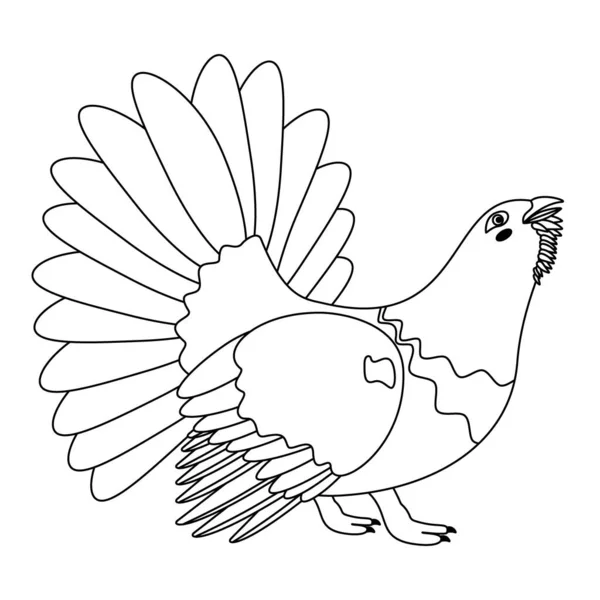 Cute Cartoon Capercaillie Bird Line Art Vector Illustration Isolated White — Stock Vector