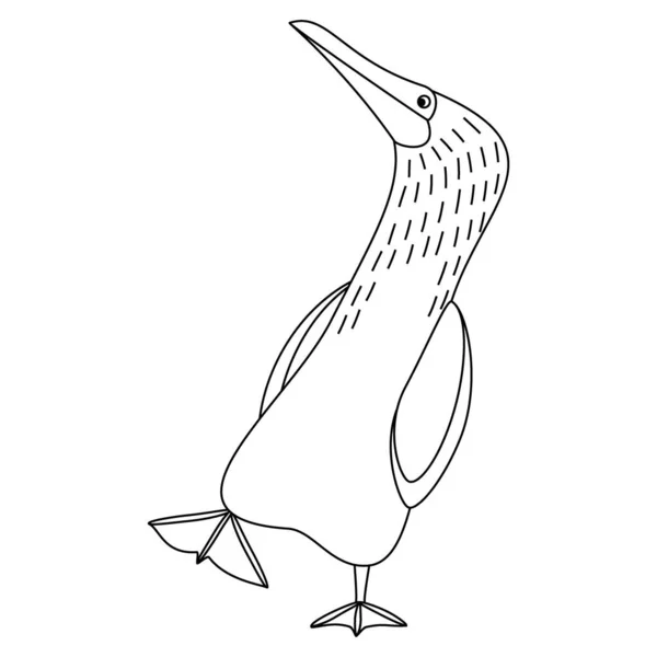 Söt Tecknad Sula Nebouxii Fågel Linjekonst Vektor Illustration Isolerad Vit — Stock vektor