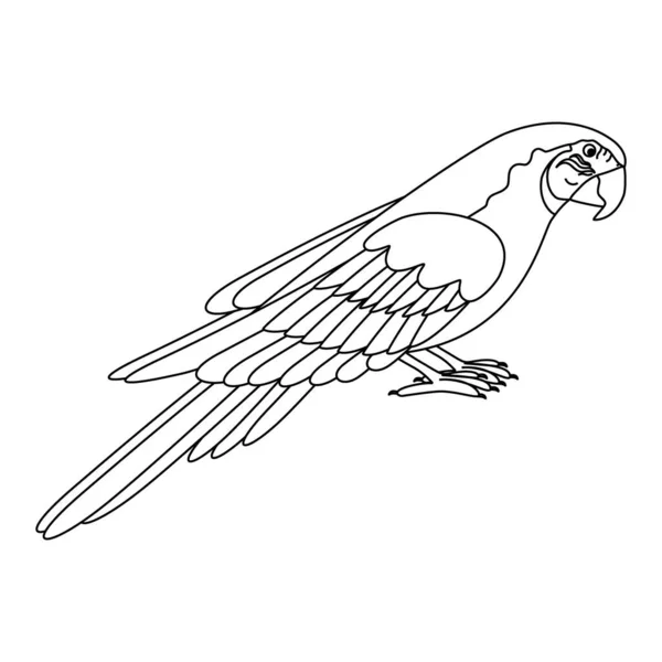 Niedlich Cartoon Papagei Vogel Linienkunst Vektor Illustration Isoliert Auf Weißem — Stockvektor
