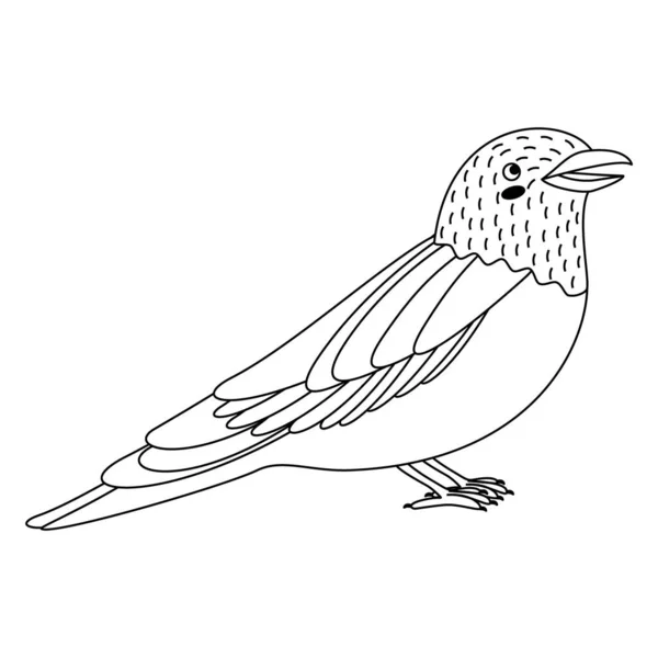 Cute Cartoon Coracias Garrulus Bird Line Art Vector Illustration Isolated — Stock Vector