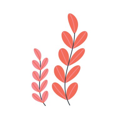 Deniz yosunu, düz çizgi film tarzında su altı bitkisi. Vektör illüstrasyonu beyaz arkaplanda izole edildi.