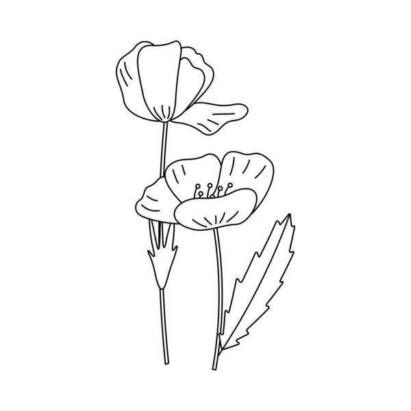 Poppy Flowers Ukrainian Symbols Line Art Vector Illustration Isolated White — Stock Vector
