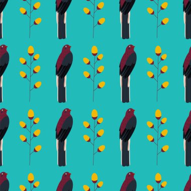 Trogon kuşuyla desen. Düz vektör illüstrasyonu.