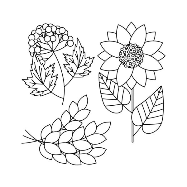 Branch Viburnum Sheaf Wheat Sunflower Flower Ukrainian Symbols Line Art — Stock Vector