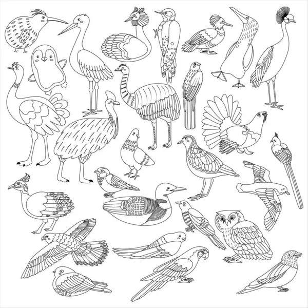 Duży Zestaw Ptaków Sztuka Linii Ilustracja Wektora Izolowana Białym Tle — Wektor stockowy
