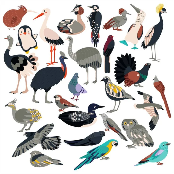 Grote Groep Vogels Vlakke Vector Illustratie Geïsoleerd Witte Achtergrond — Stockvector