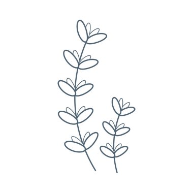 Deniz yosunu, düz çizgi film tarzında su altı bitkisi. Vektör illüstrasyonu beyaz arkaplanda izole edildi.