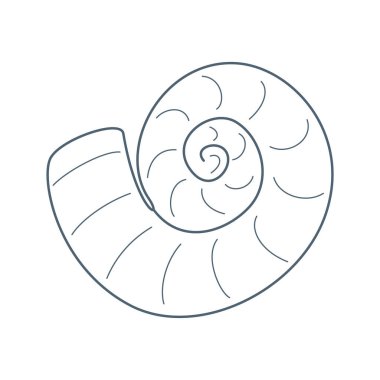 Deniz kabuğu, düz çizgi film tarzında su sakini. Vektör illüstrasyonu beyaz arkaplanda izole edildi.