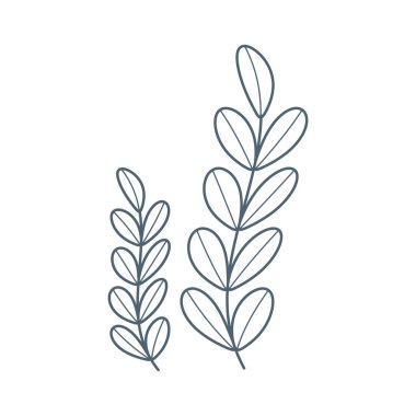 Deniz yosunu, düz çizgi film tarzında su altı bitkisi. Vektör illüstrasyonu beyaz arkaplanda izole edildi.