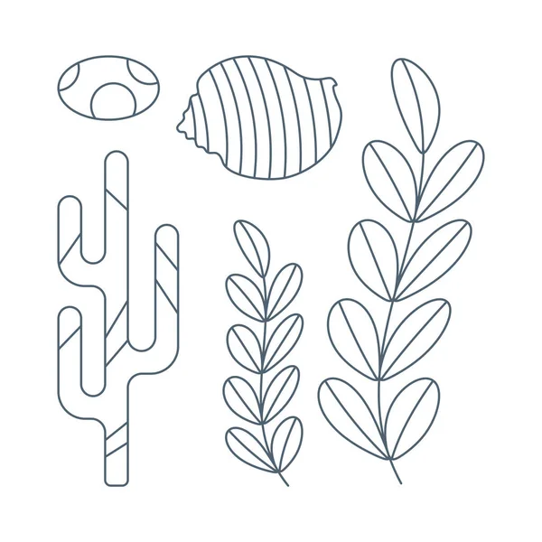 Set Seaweed Seashells Flat Cartoon Style Vector Illustration Isolated White — Stock Vector