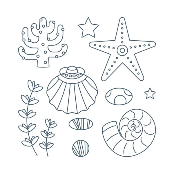 Set Seaweed Seashells Starfish Stones Flat Cartoon Style Vector Illustration — Stock Vector