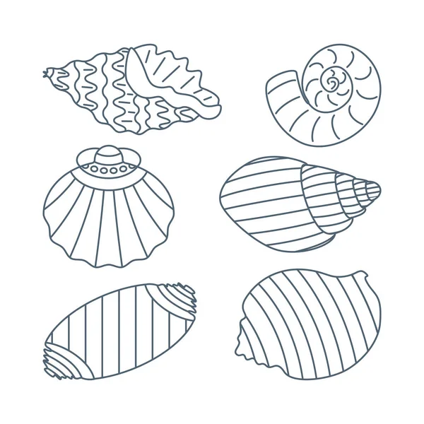 Set Diverse Sea Shell Aquatic Life Animals Flat Cartoon Style — Stock Vector
