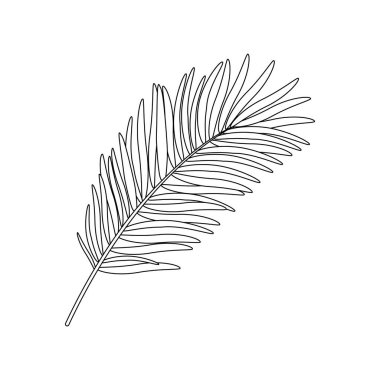 Palmiye yaprakları. Yaz gezileri için kumsal hazır. Deniz tatili için tatil aksesuarları. Düz vektör çizimi beyaz arkaplanda izole edildi. Satır sanatı.