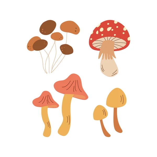 Cogumelos Toadstool Olá Outono Elemento Época Outono Ícone Ilustração Vetorial —  Vetores de Stock
