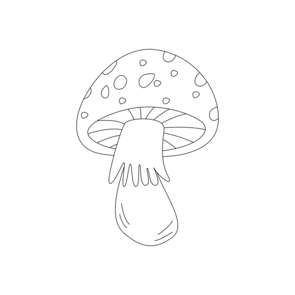 蘑菇毒菌毒菌你好 秋天元素 白色背景上孤立的平面矢量图解 线条艺术 — 图库矢量图片