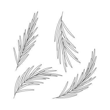 Noel ağacı dalı seti. Kış tatili elemanları. Düz vektör çizimi beyaz arkaplanda izole edildi.