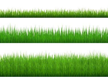 Yeşil Çimen Sınırı Saydam arkaplanda Ayarlandı. Vektör İllüstrasyonu