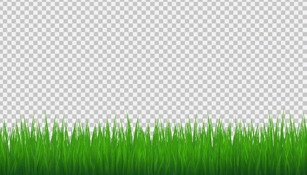 Grass Border Transparenter Hintergrund Vektorillustration — Stockvektor