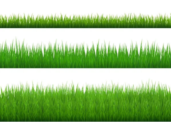 Green Grass Borders Set Transparent Background Vector Illustration — Stock Vector
