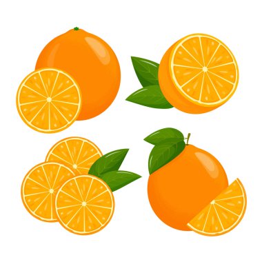 Portakal meyvesi. Portakallar beyaz arka planda, sulu mevsimlik meyveler, narenciye. Vektör illüstrasyonu