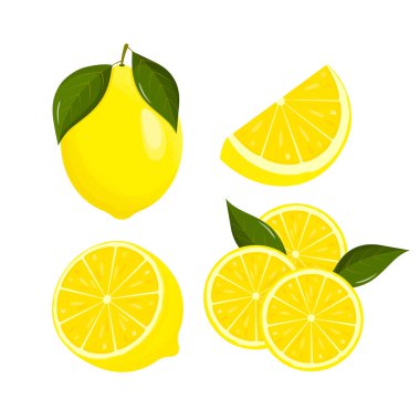 Limon dilimleri. Taze narenciye, yarım dilimlenmiş limon. Limon ekşi ve yüksek C vitamini içeren düz bir meyvedir. Vektör illüstrasyonu.
