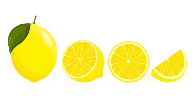 Limon dilimleri. Taze narenciye, yarım dilimlenmiş limon. Limon ekşi ve yüksek C vitamini içeren düz bir meyvedir. Vektör illüstrasyonu.