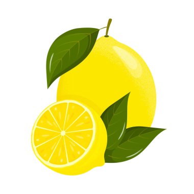 Limon dilimleri. Taze narenciye, yarım dilimlenmiş limon. Limon ekşi ve yüksek C vitamini içeren düz bir meyvedir. Vektör illüstrasyonu.