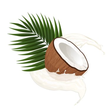 Hindistan cevizinin yarısı hindistan cevizi sütü ve beyaz arka planda bir palmiye yaprağı ile kaplıdır.