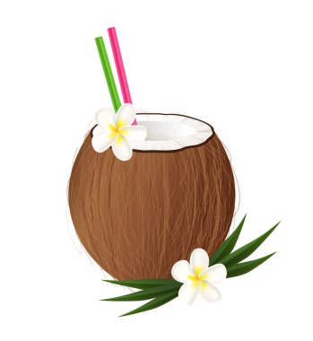 İki pipetli hindistan cevizi kokteyli, frangipani çiçekleri ve palmiye yaprakları, beyaz arka planda izole edilmiş.