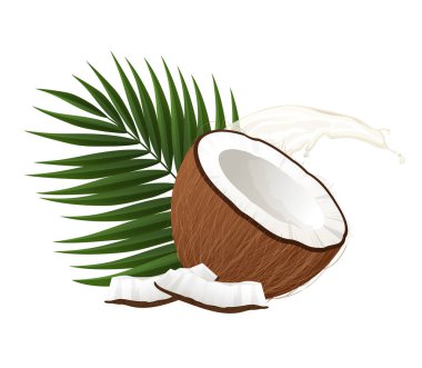 Hindistan cevizi sütü, palmiye yaprağı ve beyaz arka planda dilimler.