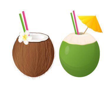 İki taze hindistan cevizi kokteyli, biri kahverengi ve biri yeşil, kamışla süslenmiş, Tespih çiçeği ve kokteyl şemsiyesi, beyaz arka planda izole edilmiş.