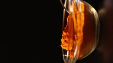 İçinde zerdeçal tozu olan bir kase. Siyah arka planda zerdeçal baharatı. Bir kaşık baharat. Yemek için çeşni.