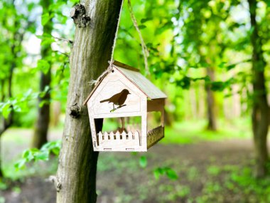 Yeşil şehir parkındaki ağaç dalından sarkan ahşap kuş evi, canlı yapraklarla çevrili. Çevre için insan endişesi