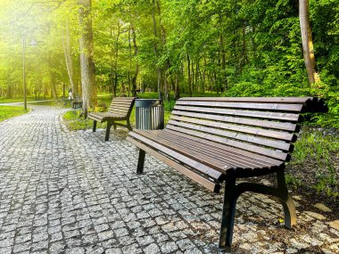 Yeşillik ve güneş ışığıyla çevrili canlı şehir parkındaki yeni banklar vatandaşların dinlenmesi ve doğanın tadını çıkarması için huzurlu bir alan sağlıyor.