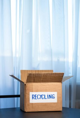 Kadın geri dönüşüm için kullanılmış kıyafetlerle dolu bir karton kutu hazırladı. Sorumluluk sahibi imha ve ikinci el moda konsepti.