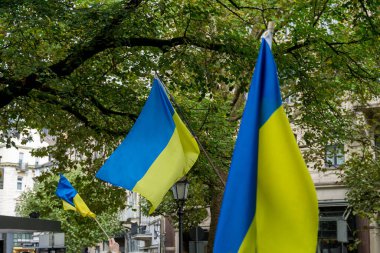 Ukrayna bayrakları Almanya 'nın Baden Baden kentindeki Ukrayna savaşını protesto etti 